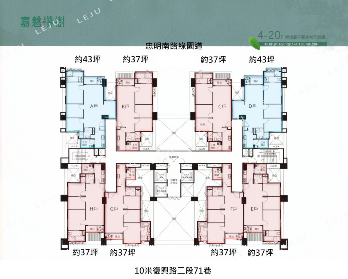 標準層