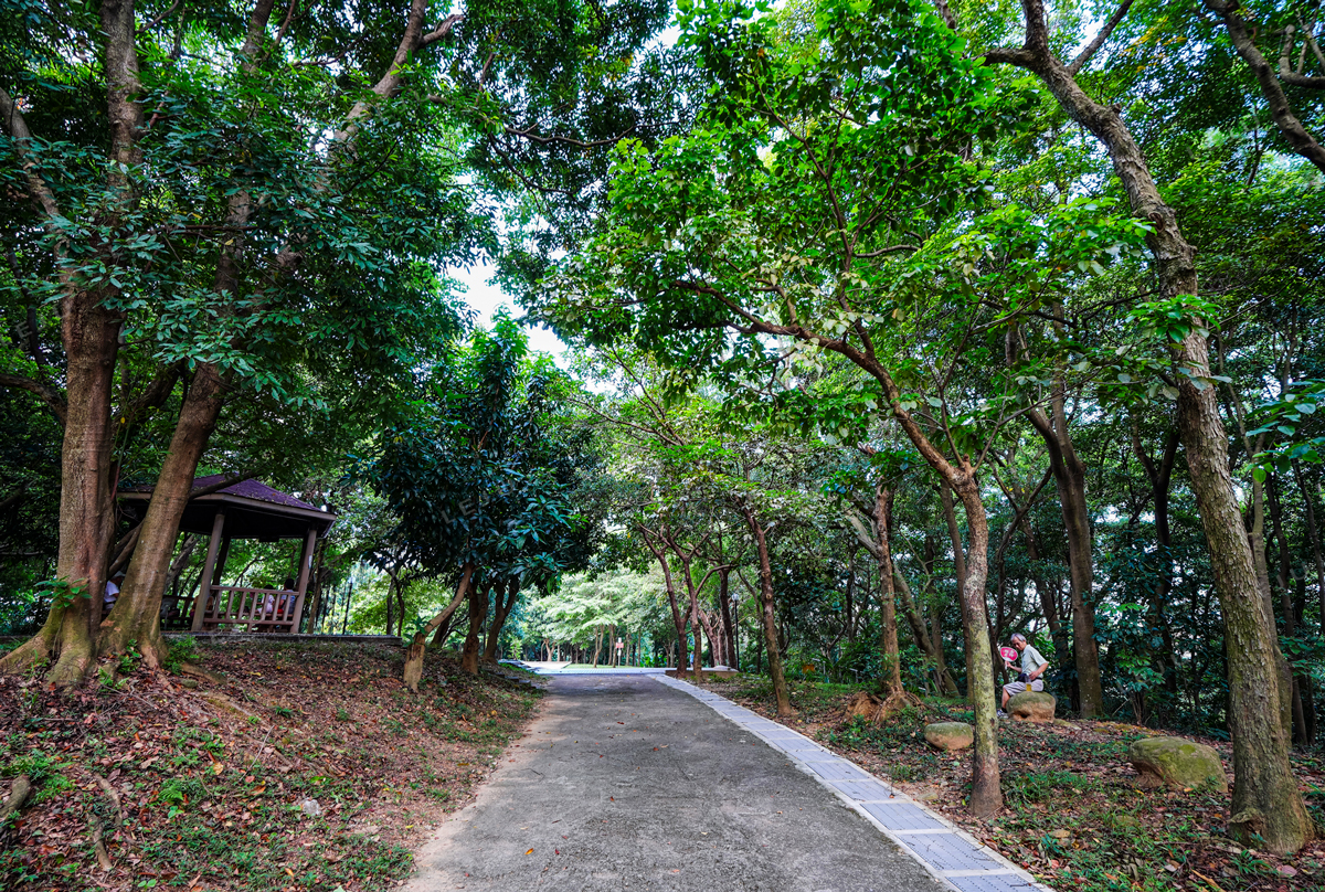 嘉穗公園