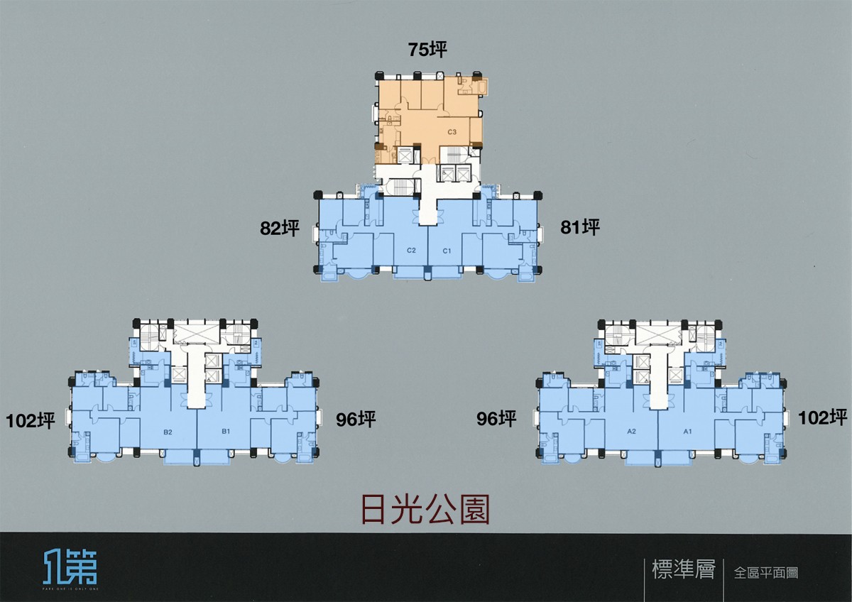 標準層