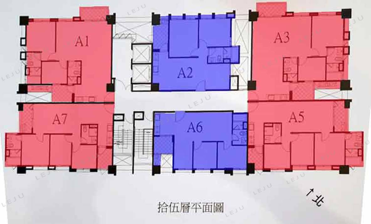 標準層分析