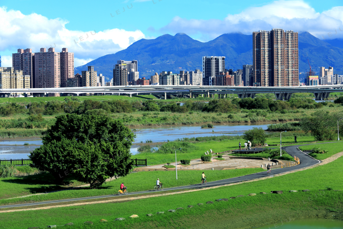 華江雁鴨自然公園 實景照
