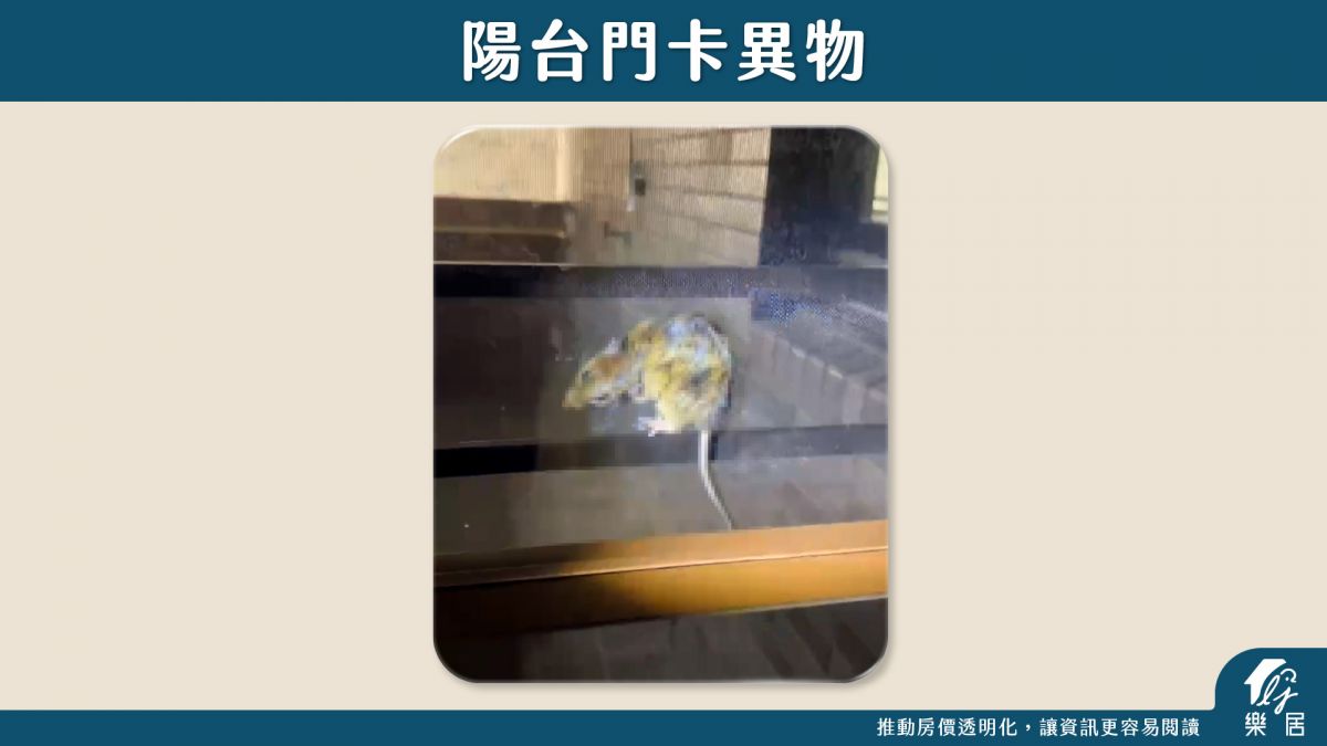 驗屋缺失_玻璃門夾異物