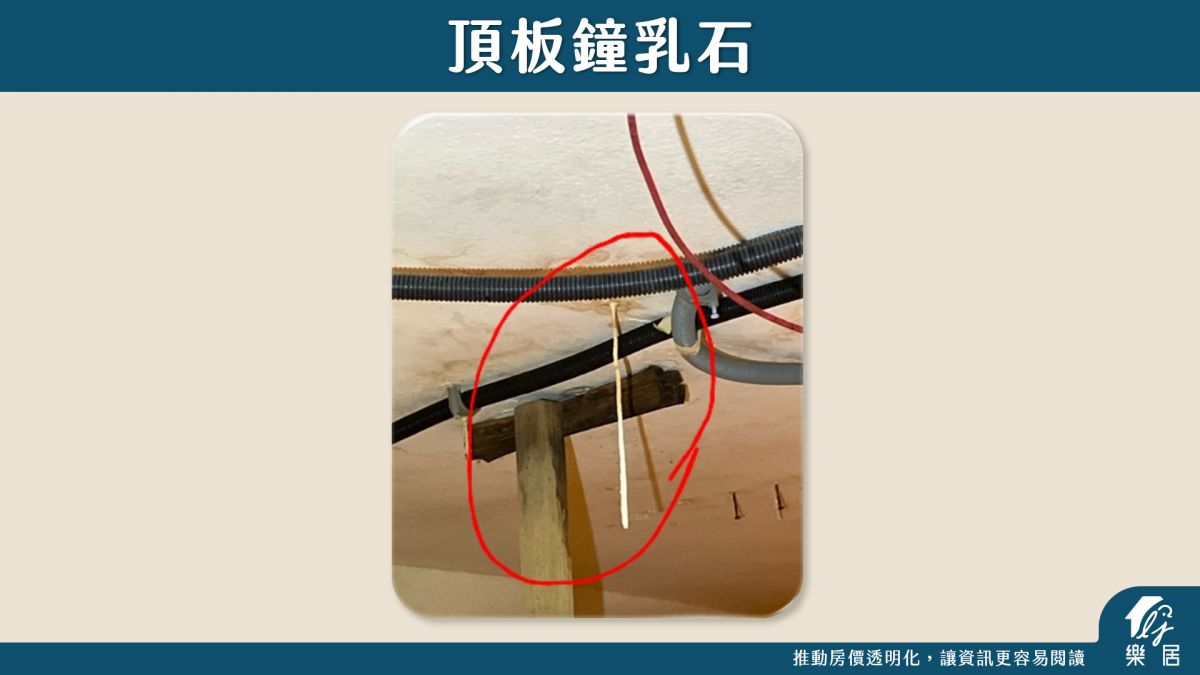 驗屋缺失_頂板鐘乳石