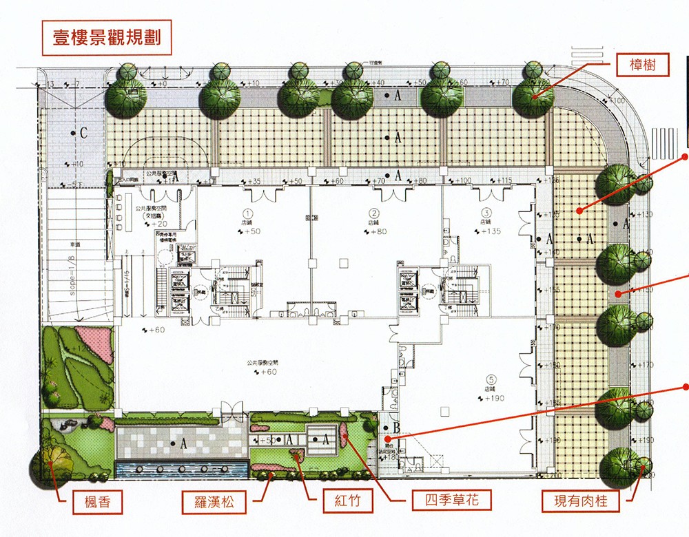 1F圖