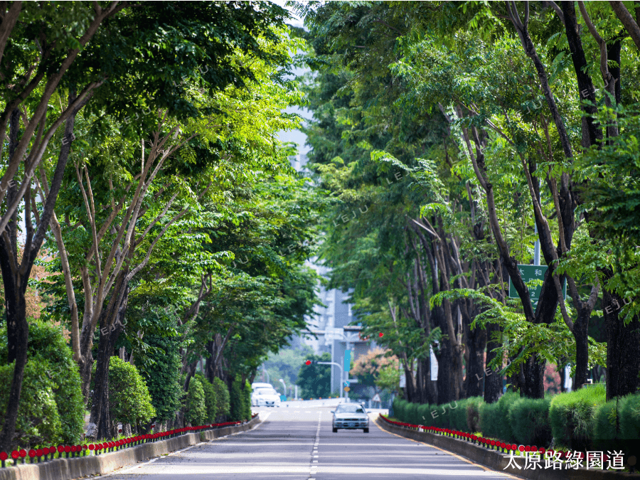 太原路綠園道