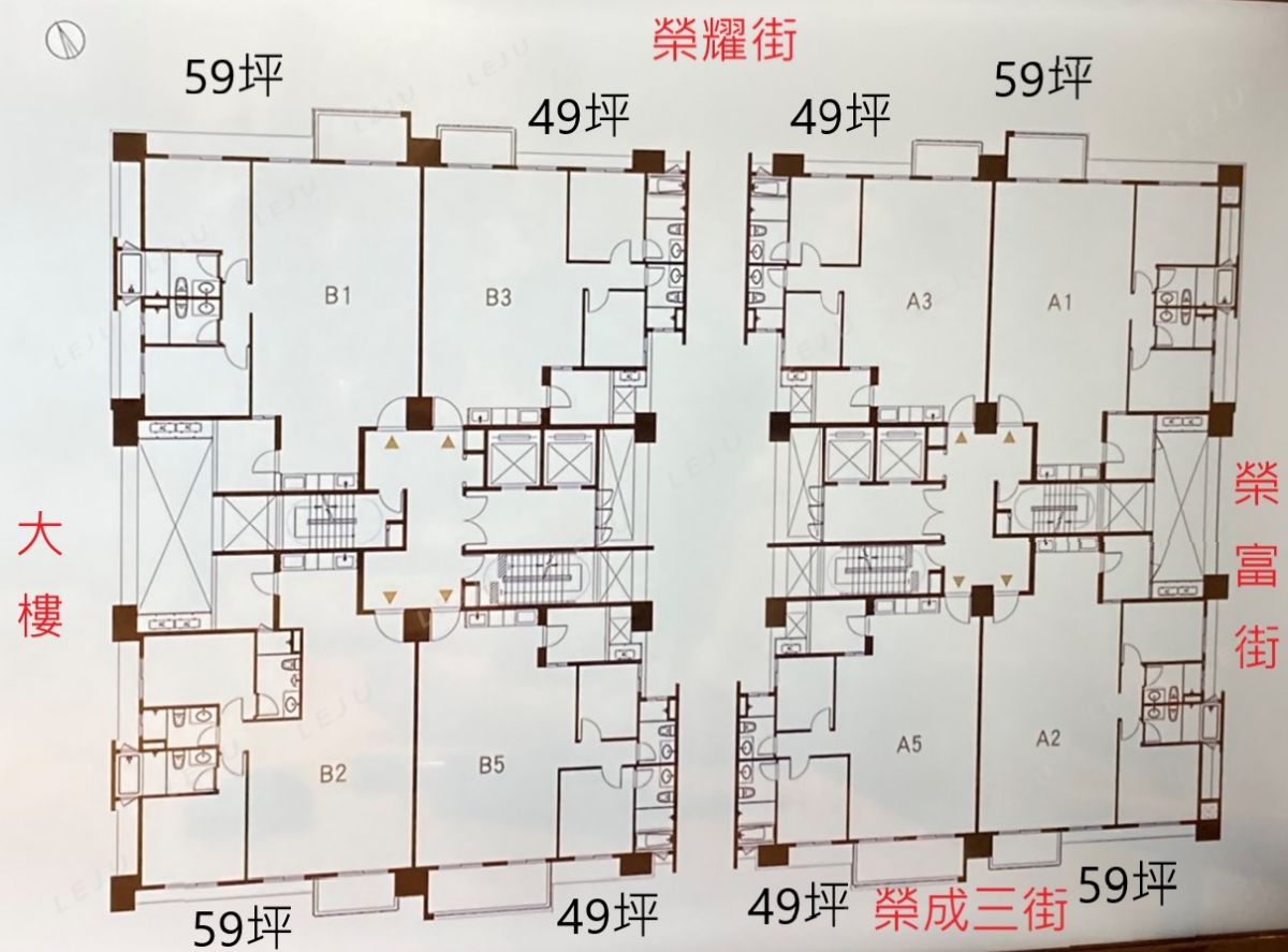 標準層分析