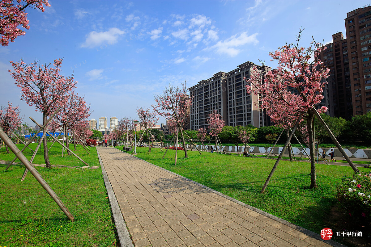 百川水硯_櫻花水岸
