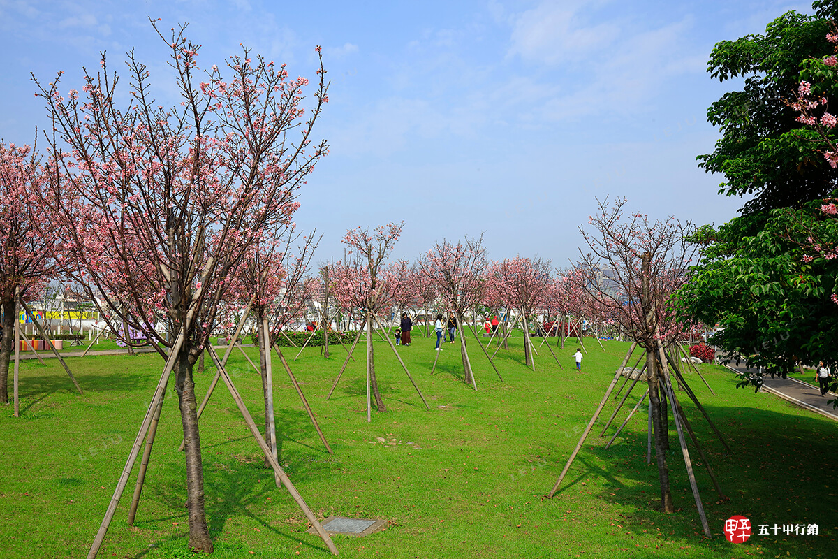 百川水硯_櫻花水岸