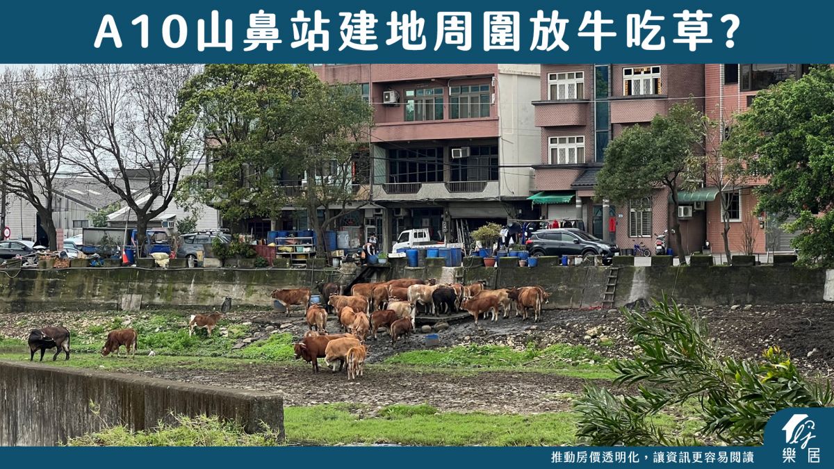 牛